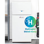 Worcester Greenstar FS 42CDi Regular - Boiler Only